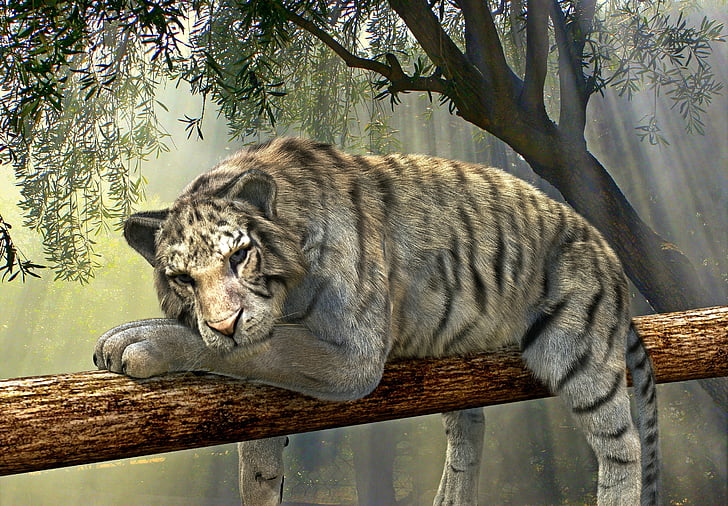 white tiger on tree painting