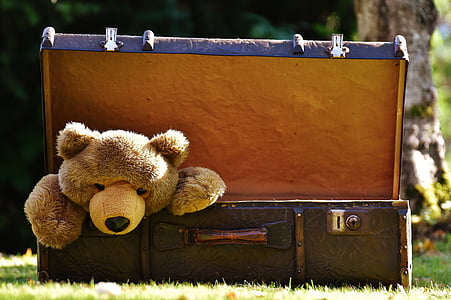 teddy bear inside brown chest box