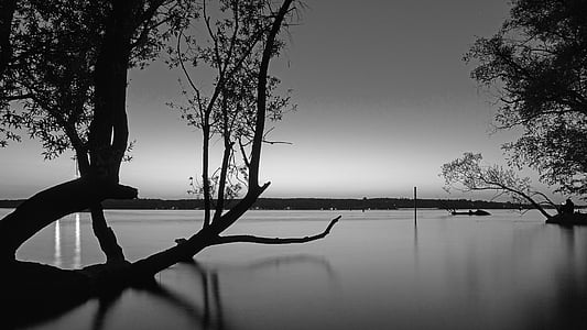 grayscale photo of body of water with trees bending near boat