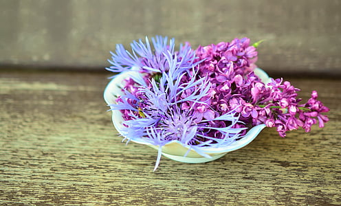 purple flower on white ceramic bowl