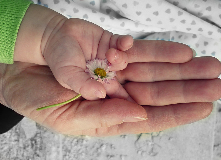 person laying hand on baby hand holding white flower