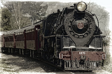 black train illustration