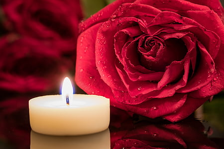 white candle beside red Rose