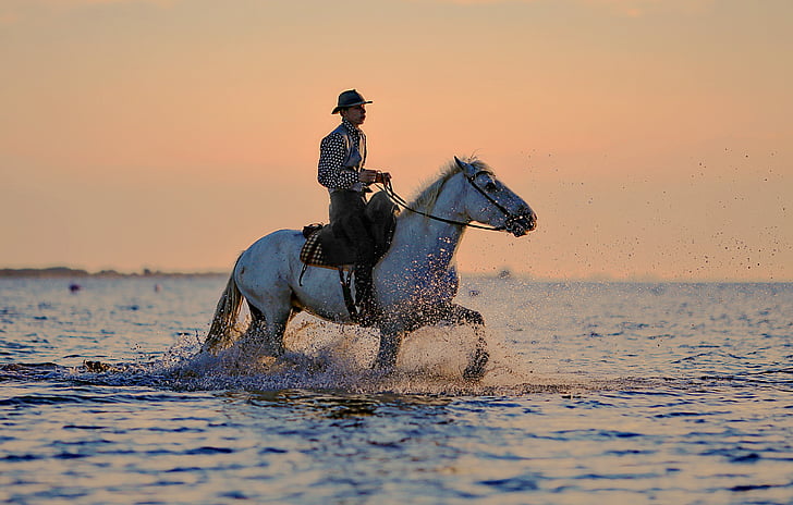 man riding on horse on body of water