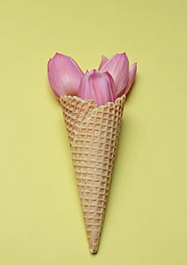 waffle cone tulips