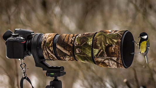 tree camouflage DSLR camera with bird