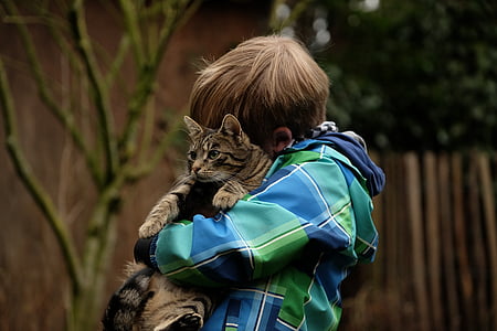 person hugging a silver tabby cat
