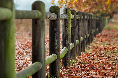 focus photography of wooden fence