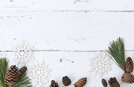 pine cones and snowflakes background