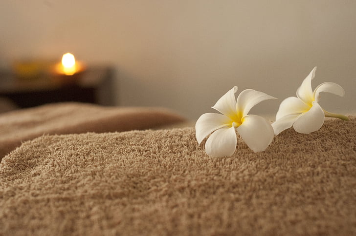 two white petaled flowers on brown towel