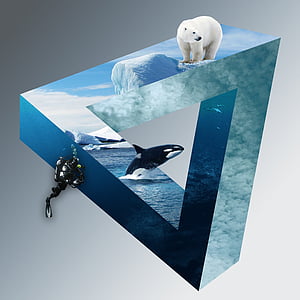 polar bear, orca, and scuba diver optical illusion