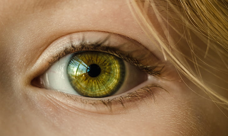 human yellow eye