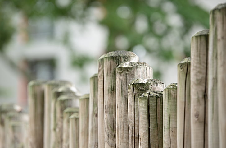 depth of field photography of bamboo stick fence