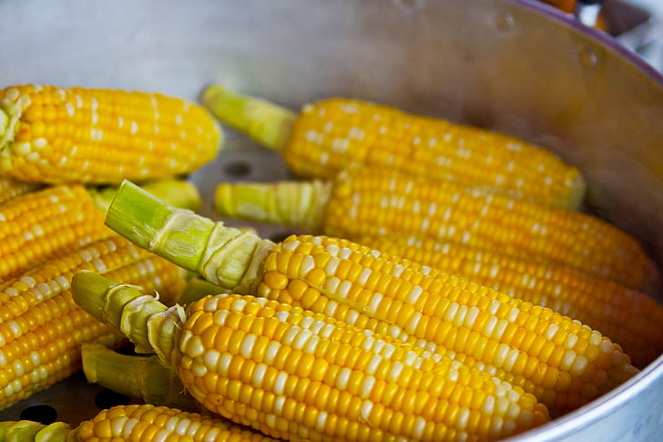 bunch of yellow corn inside grey container