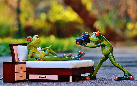 focus photography of two red-eyed frog taking picture figurines