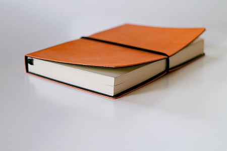 brown and white book
