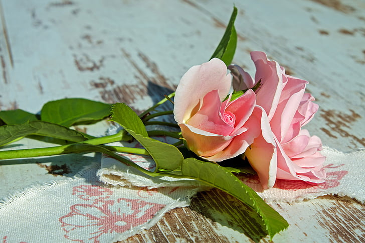pink roses on brown wooden surface