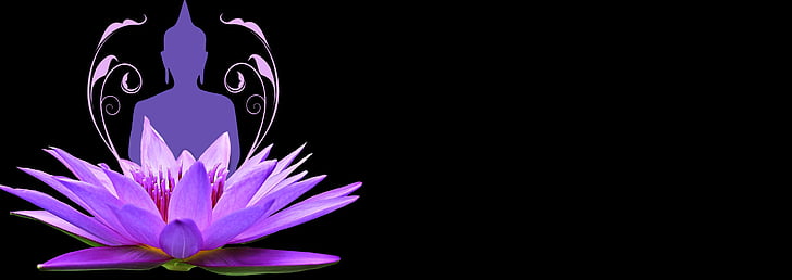 purple lotus flower with Gautama Buddha