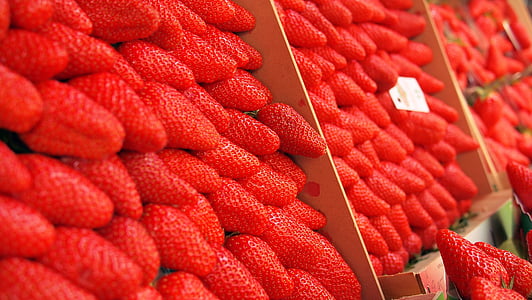 strawberry on shelf
