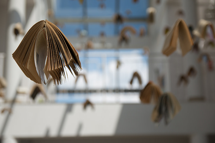selective focus photography of hanging books