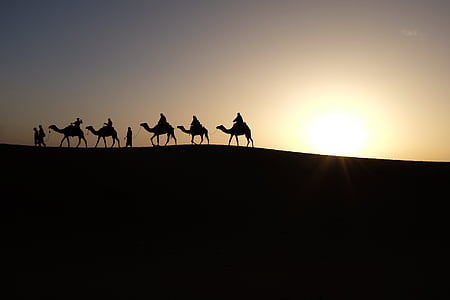 five person riding their camels silhouette during golden hour
