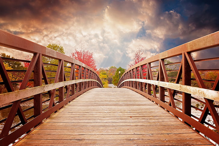 brown wooden bridge at daytime
