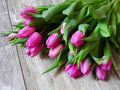 closeup photo of purple tulip flowers