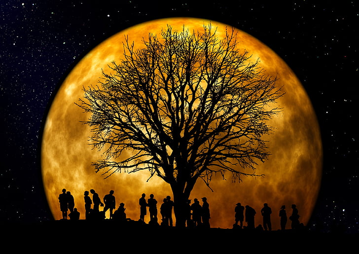 silhouette of people under the bare tree with moon background