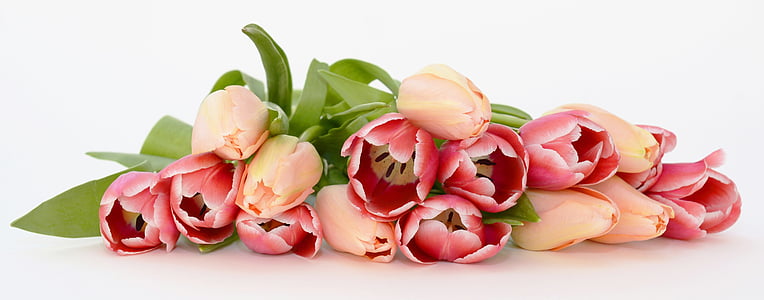 peach and pink tulips bouquet
