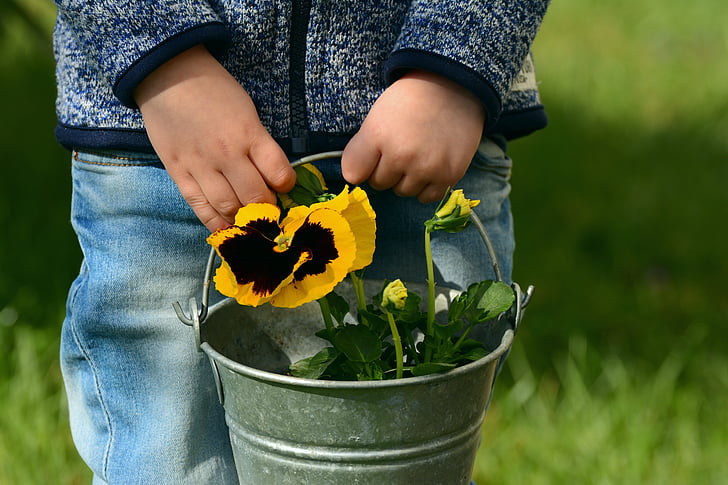person holding bucket with petaled flowers