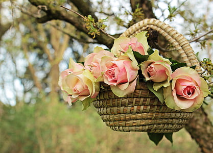 pink flowers in brown wicker basket on tree branch