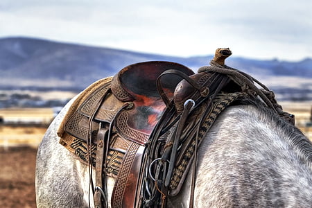 brown leather horse saddle