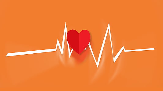 red and white heartbeat illustration