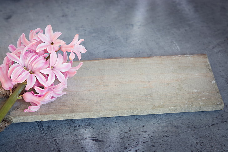 pink petaled flowers and brown wooden board