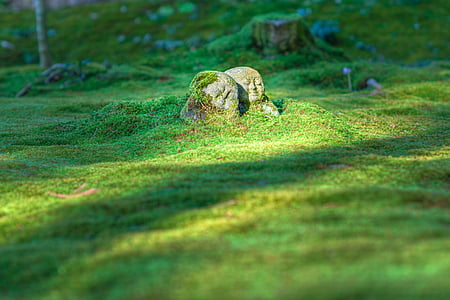 photo of stones near grass