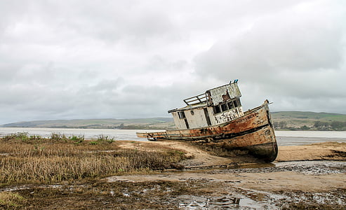 brown boat on seashore during daytime