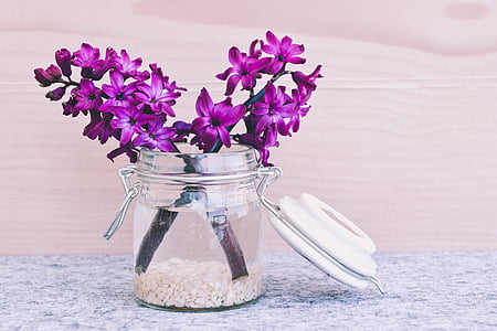 purple petaled flowers on clear jar