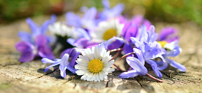 assorted flowers on top of wood slab selective-focus photo