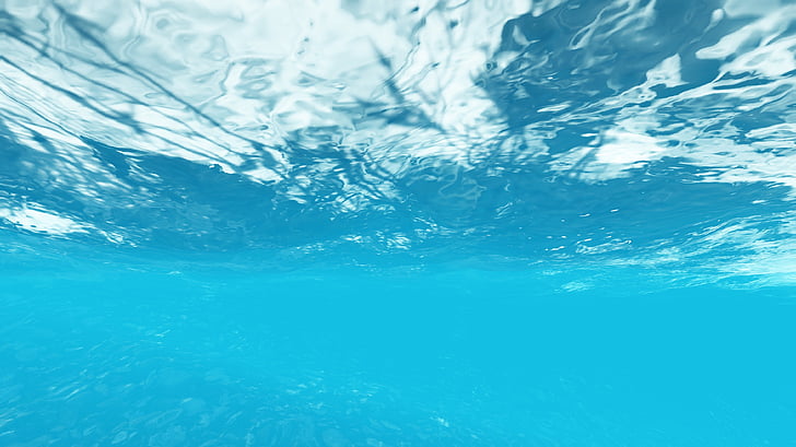 underwater photograph