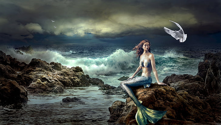 blue mermaid sitting on brown rock painting