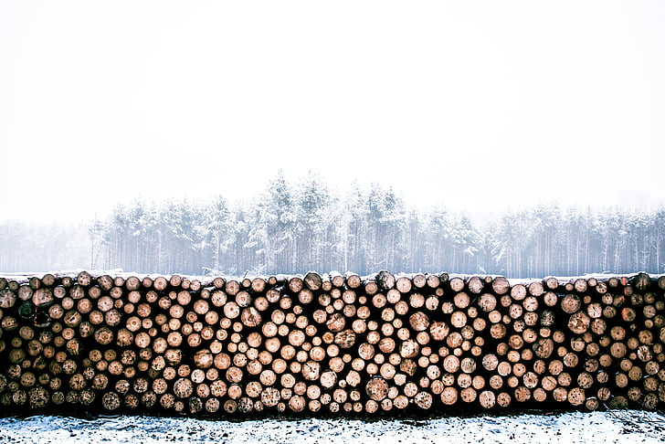 pile of firewood near snow