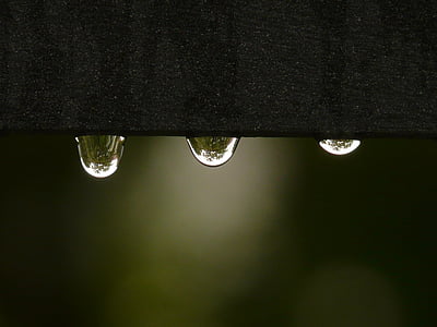 macro shot photography of water drop