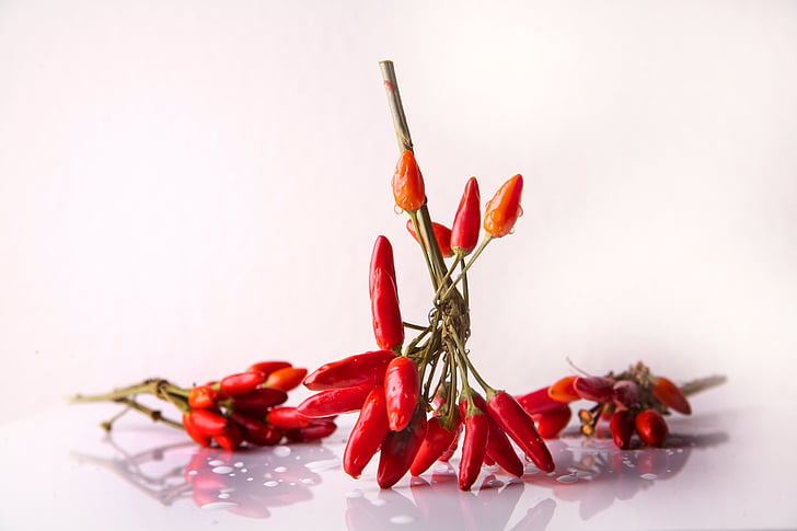 still life photograph of chili