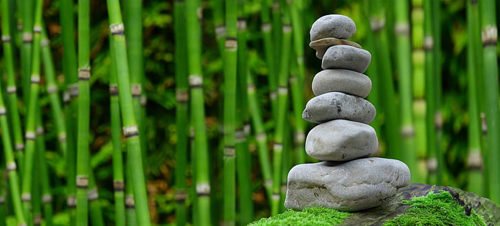 focus photo of cairn with bamboo trees background