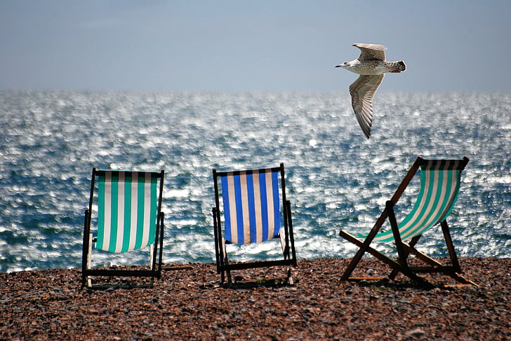 three assorted-color wooden folding chairs on seashore