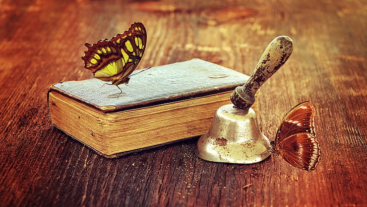 white and brown butterfly on brown book near grey desk bell