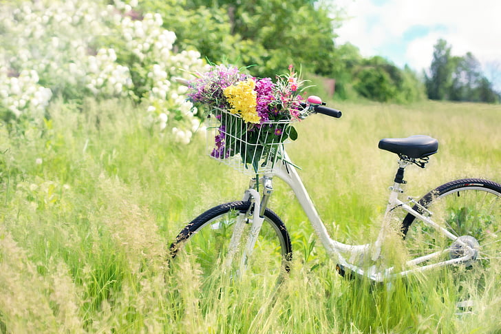 flower on bicycle near on grasses