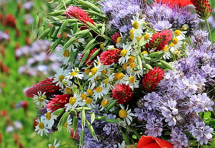 close up photography of flower arrangement