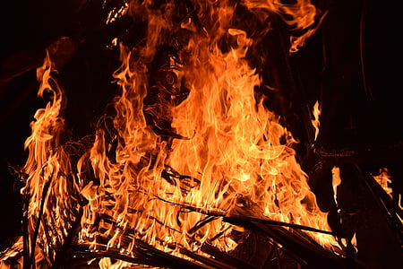 closeup photo of bonfire