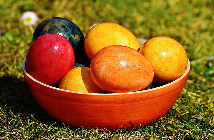 assorted fruits on red ceramic bowl